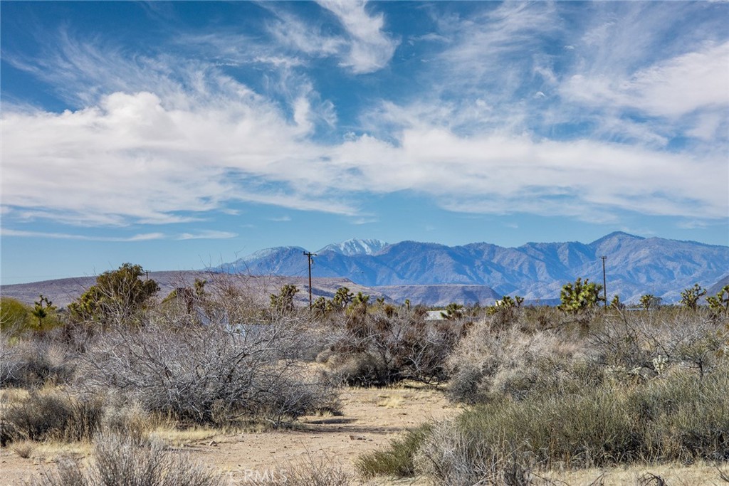 MLS #JT25097293 image #9