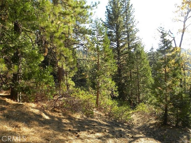 Detail Gallery Image 8 of 8 For 7486 Henness Ridge, Yosemite,  CA 95389 - – Beds | – Baths