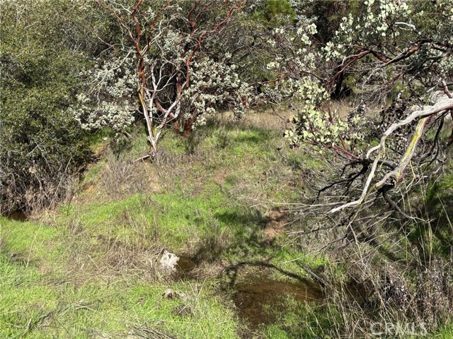 5906 Pine Top Drive, Mariposa CA: https://media.crmls.org/medias/87126528-64f1-4c32-9254-f6afed97fb63.jpg