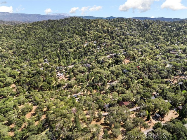 1700 S Way, Lake Arrowhead, CA 92352
