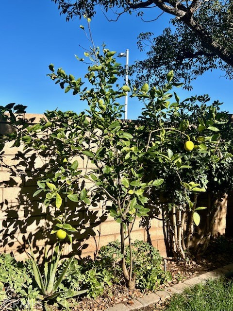 Detail Gallery Image 50 of 51 For 879 Derby, Corona,  CA 92882 - 5 Beds | 3/1 Baths