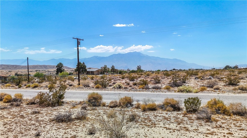 MLS #JT24133098 image #18