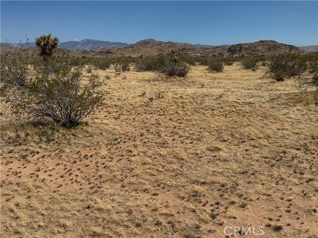 Detail Gallery Image 11 of 32 For 0 Japatul Rd, Apple Valley,  CA 92307 - – Beds | – Baths