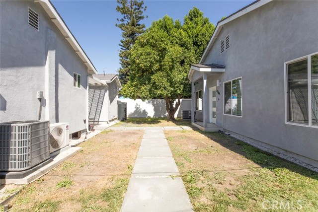 6206 Camellia photo 62