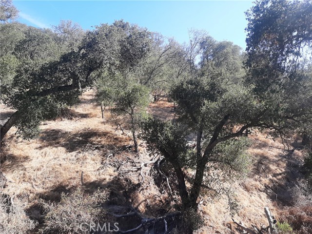 0 Chauplin, Atascadero, CA, 93422 0 Chauplin, Atascadero, CA, 93422