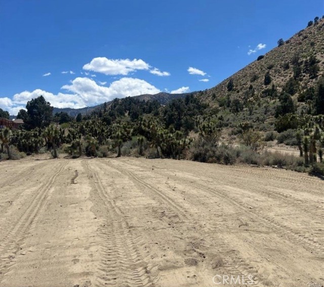 Detail Gallery Image 5 of 8 For 0 Evergreen Rd, Pinon Hills,  CA 92372 - – Beds | – Baths