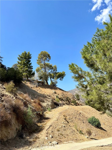 0 Rim Canyon Rd photo 6