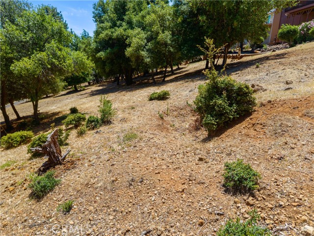 3592 Pine Terrace Drive, Kelseyville CA: https://media.crmls.org/medias/874edd94-0a27-4a26-8803-41fb9a45f76a.jpg