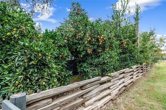 18701 Lort Drive, Visalia CA: https://media.crmls.org/medias/8751c21e-0a20-42b7-b3a7-3902dd058471.jpg