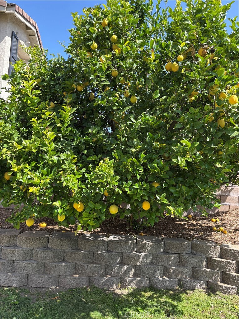 https://media.crmls.org/medias/8751cb70-1a0e-4632-b2d0-967f7a142e22.jpg?preset=X-Large