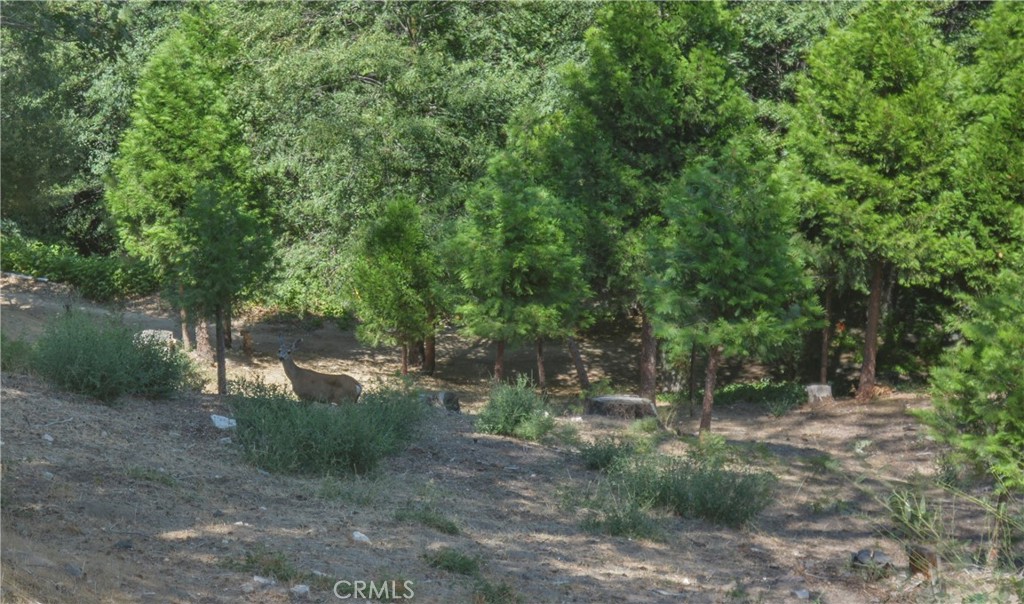https://media.crmls.org/medias/8751d900-876d-49c7-a214-2498cd5fa896.jpg?preset=X-Large