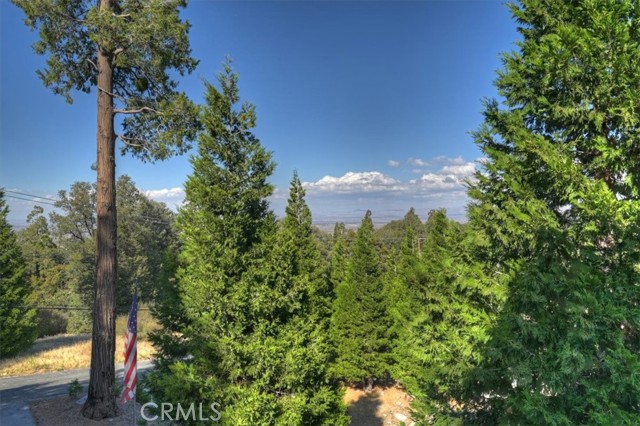 729 Minty Pine Drive, Cedarpines Park, CA 92322