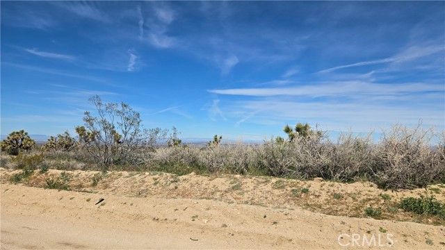 Detail Gallery Image 21 of 50 For 0 Fort Tejon Rd Vicinity 181st St E, Llano,  CA 93544 - – Beds | – Baths