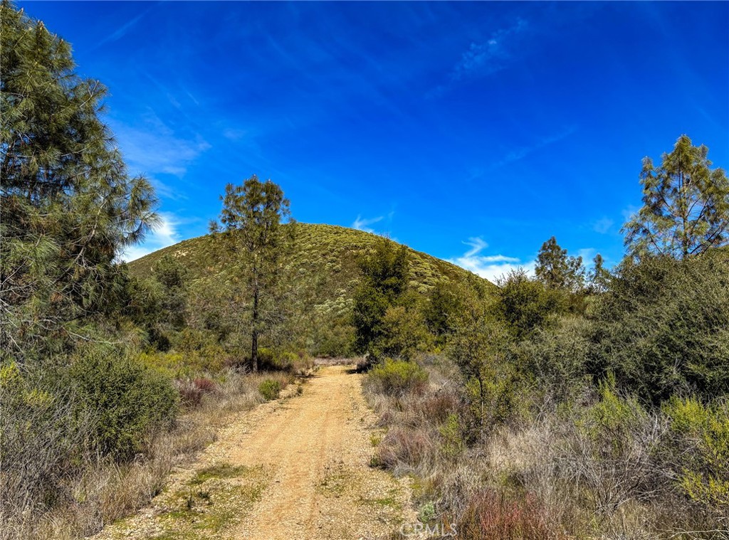 640 Robinson Canyon