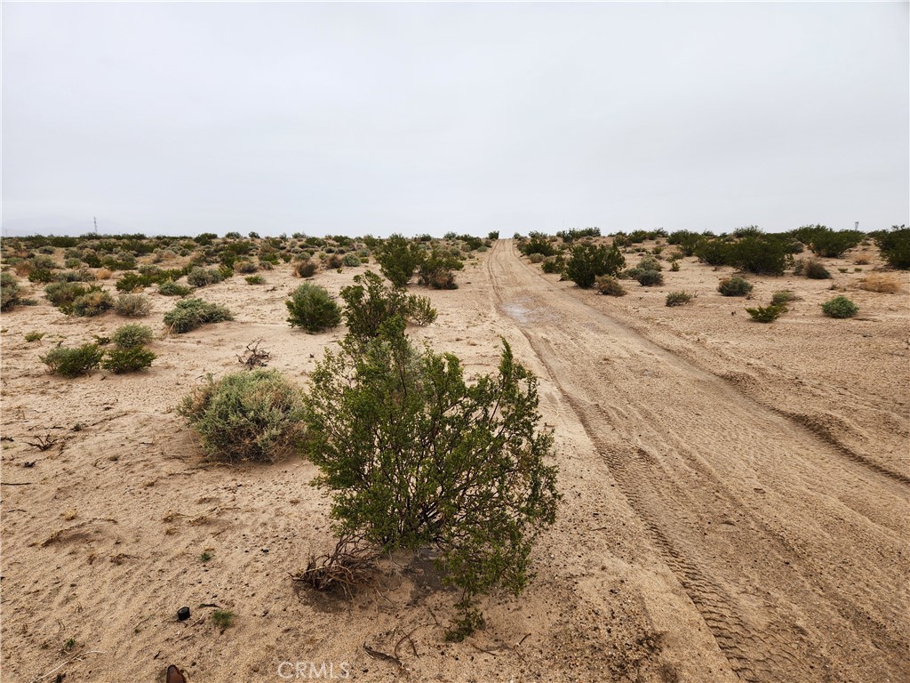 MLS #HD25033147 image #4