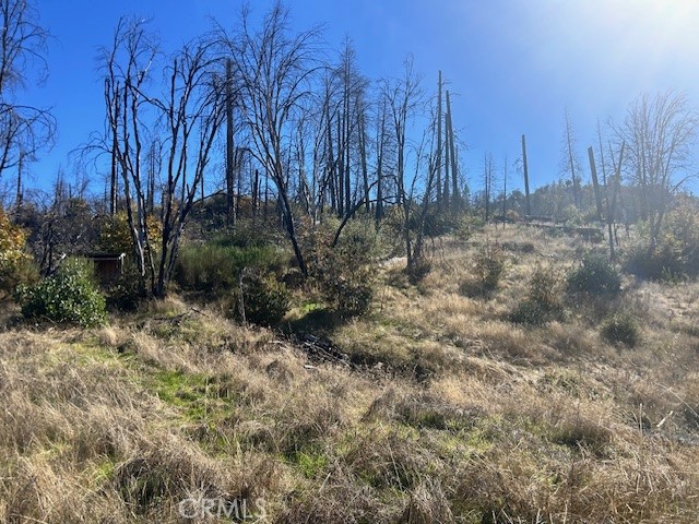 Detail Gallery Image 15 of 39 For 0 Craig Access, Feather Falls,  CA 95940 - – Beds | – Baths