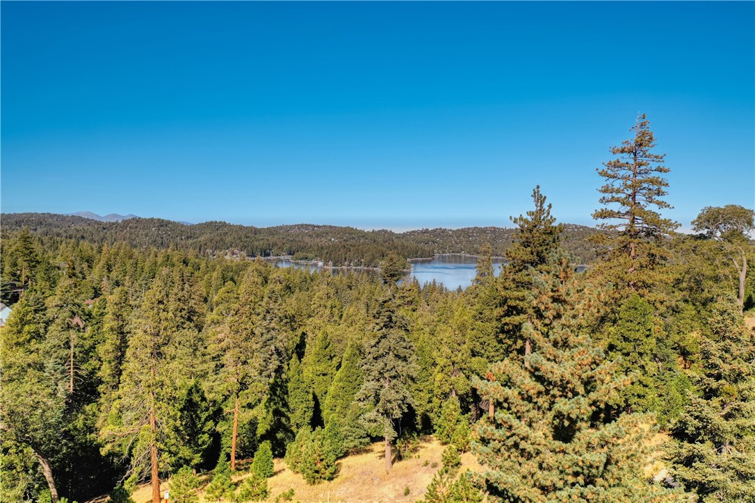 Detail Gallery Image 9 of 11 For 263 Hidden Forest Rd, Lake Arrowhead,  CA 92352 - – Beds | – Baths