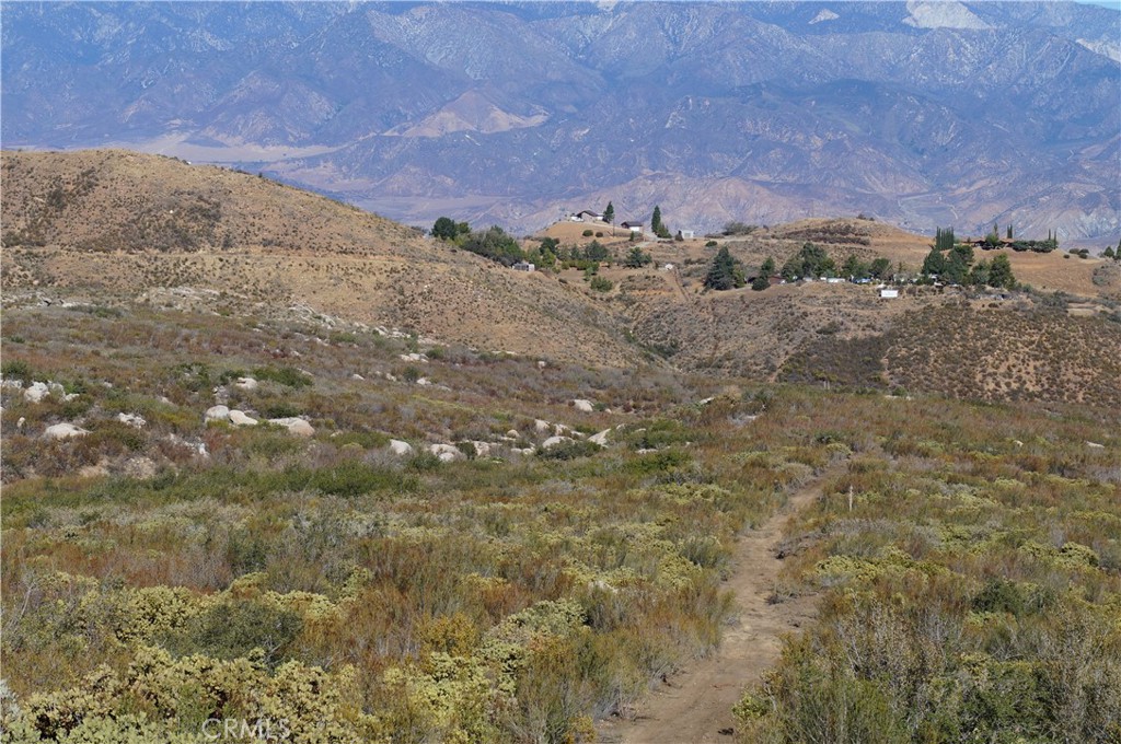 MLS #SB25011782 image #13