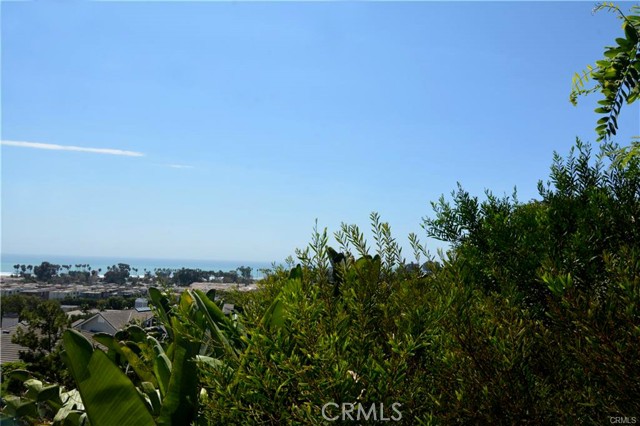 Detail Gallery Image 3 of 47 For 25422 Sea Bluffs Dr #103,  Dana Point,  CA 92629 - 1 Beds | 1 Baths