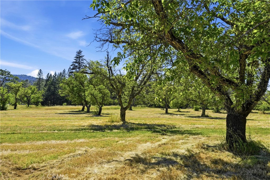 https://media.crmls.org/medias/87690c78-e99f-40c3-b409-3490b5e19eca.jpg?preset=X-Large