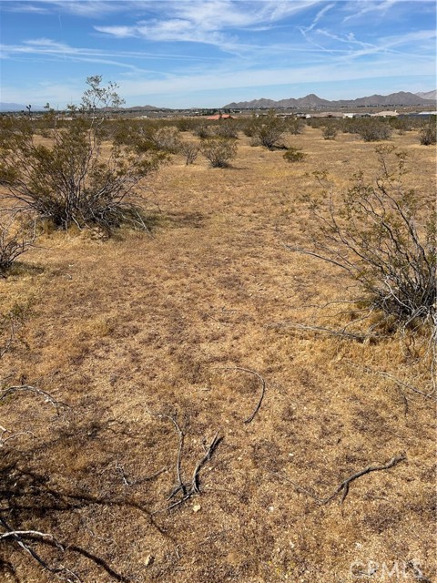 Detail Gallery Image 6 of 9 For 0 Japatul, Apple Valley,  CA 92307 - – Beds | – Baths