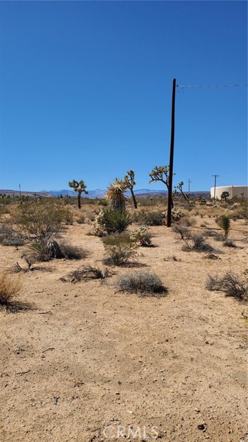 3161 Warren Vista Avenue, Yucca Valley, California 92284, ,Land,For Sale,3161 Warren Vista Avenue,CRJT23178104