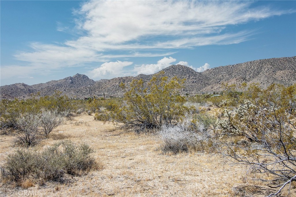 MLS #JT25110573 image #5