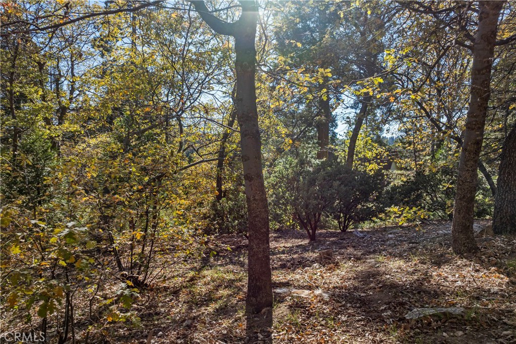 MLS #IG25254528 image #7