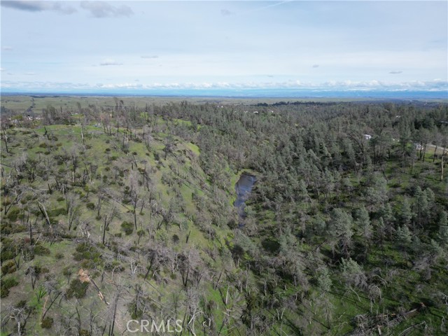 Detail Gallery Image 16 of 25 For 7074 Sugar Pine Ct, Corning,  CA 96021 - – Beds | – Baths