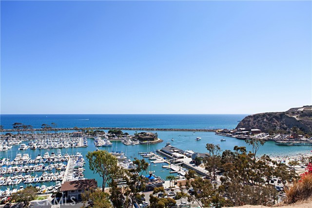 Detail Gallery Image 33 of 35 For 34264 Camino Capistrano #309,  Dana Point,  CA 92624 - 1 Beds | 1 Baths