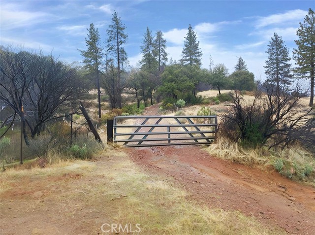 Front Image Thumbnail for CRSN25275147