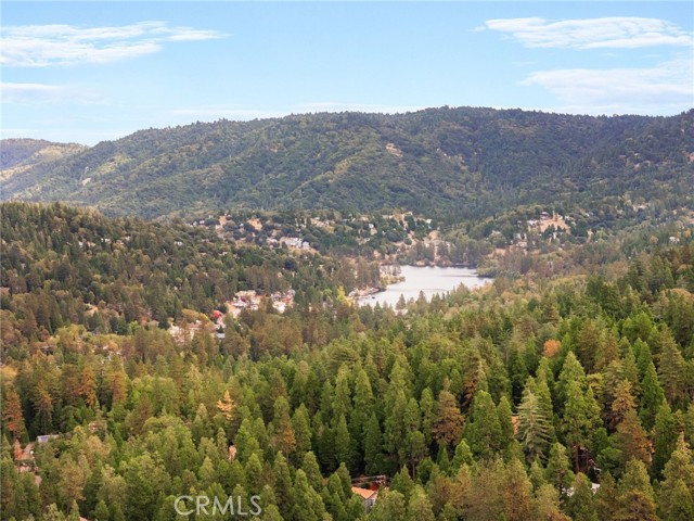 782 W Village, Crestline, CA 92325