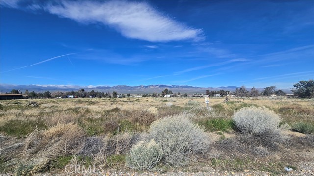 Detail Gallery Image 16 of 32 For 0 Lancaster Rd/Hwy 138 Vic 283rd W, –,  CA 93536 - – Beds | – Baths