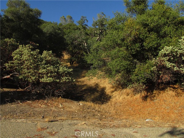 Detail Gallery Image 2 of 54 For 2 Ac Old Oaks Ct, North Fork,  CA 93643 - – Beds | – Baths