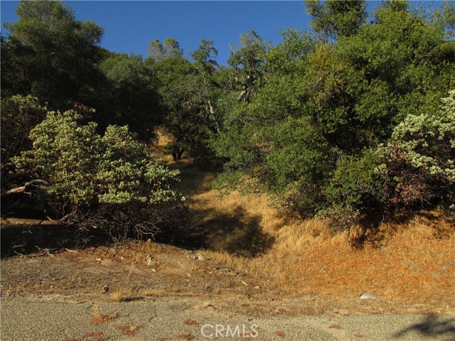 2 Old Oaks Court, North Fork, California 93643, ,Land,For Sale,2 Old Oaks Court,CRFR23180860