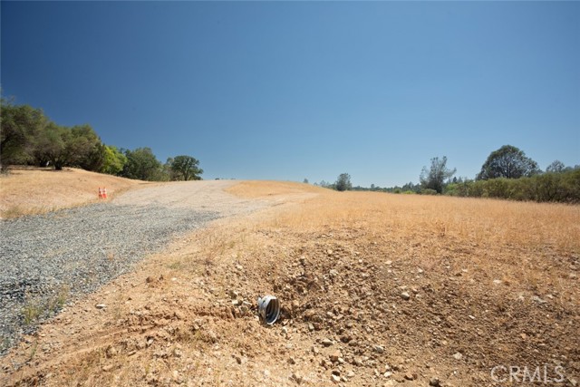 56 Canal Drive, Oroville, California 95966, ,Land,For Sale,56 Canal Drive,CROR23137441