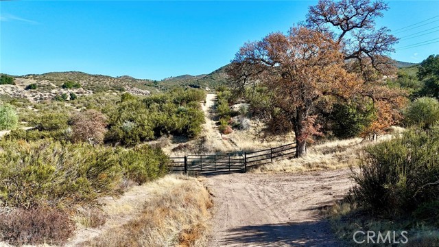 Detail Gallery Image 18 of 30 For 0 Red Hill Rd, Santa Margarita,  CA 93453 - – Beds | – Baths