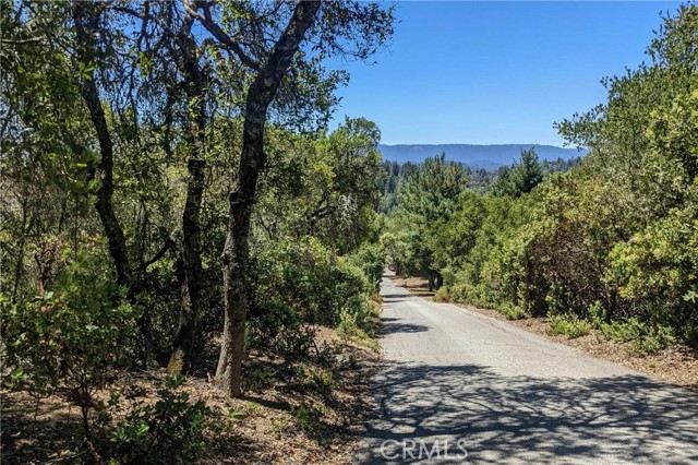 305 Alta Vista, Los Gatos, CA, 95033 305 Alta Vista, Los Gatos, CA, 95033