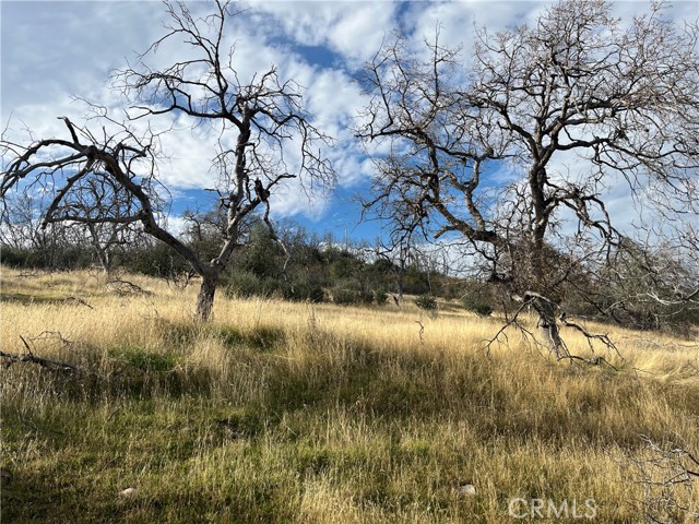 Detail Gallery Image 25 of 69 For 4934 Guadalupe Fire, Catheys Valley,  CA 95306 - – Beds | – Baths