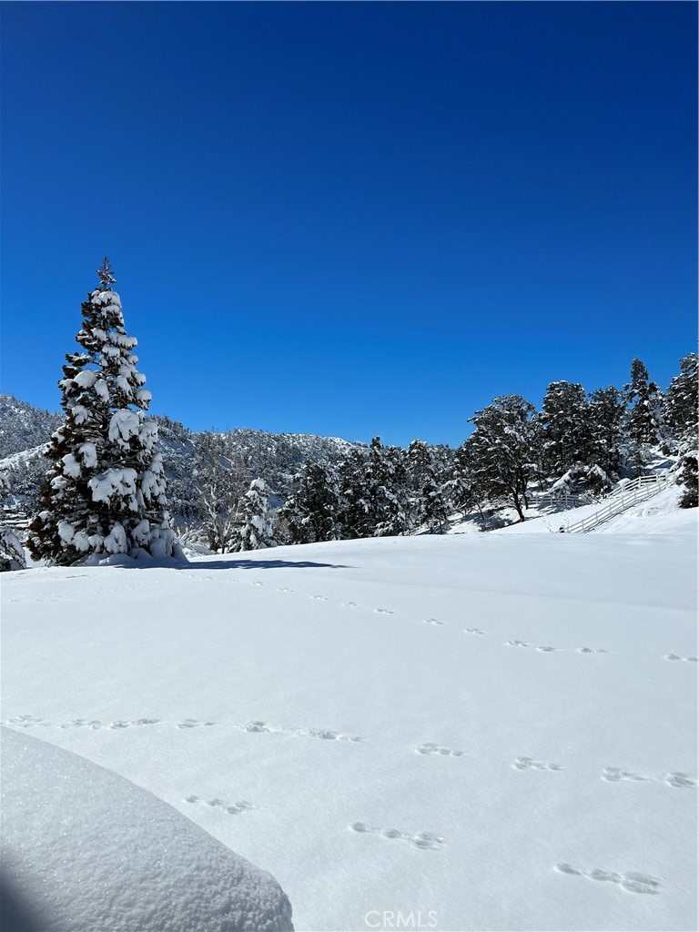 https://media.crmls.org/medias/87c5bf5e-8d36-40c3-b2ed-7ee0b4544884.jpg?preset=X-Large