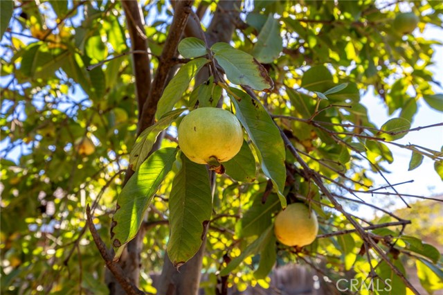 Detail Gallery Image 29 of 38 For 10022 Chula Vista Way, Riverside,  CA 92503 - 4 Beds | 2 Baths