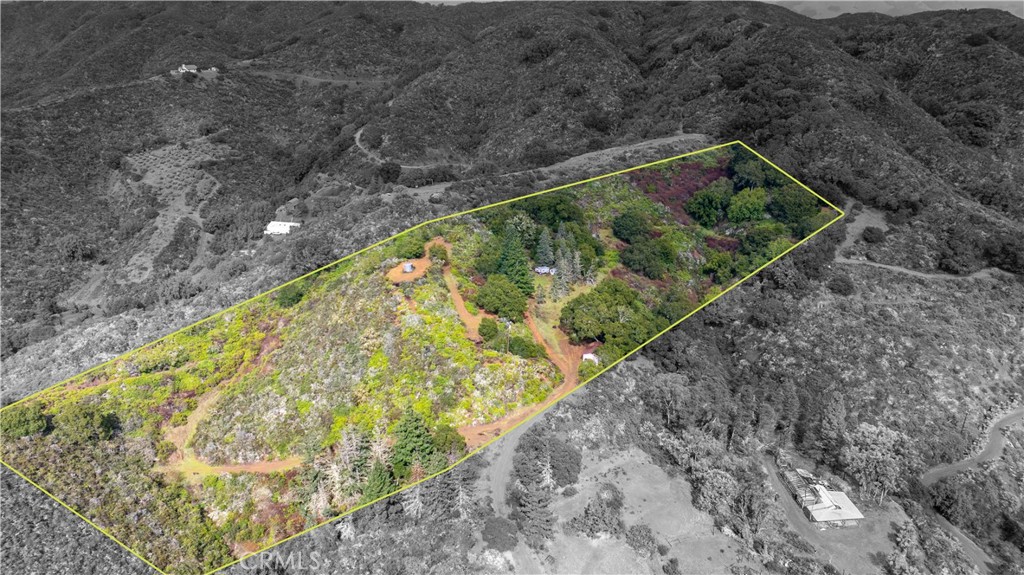 3395 Wallace Mountain Road