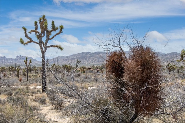 Detail Gallery Image 15 of 24 For 2674 Manana Ave, Joshua Tree,  CA 92252 - – Beds | – Baths