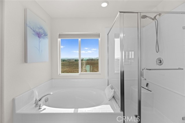 37629 Fiesta Flower Street, Murrieta CA: https://media.crmls.org/medias/87d41e8b-32c1-45bd-9fa6-1e07f9e3b81a.jpg
