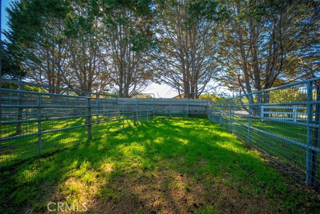 425 W El Campo Road, Arroyo Grande CA: https://media.crmls.org/medias/87d77e62-ed77-45f3-9825-f78813c14c19.jpg