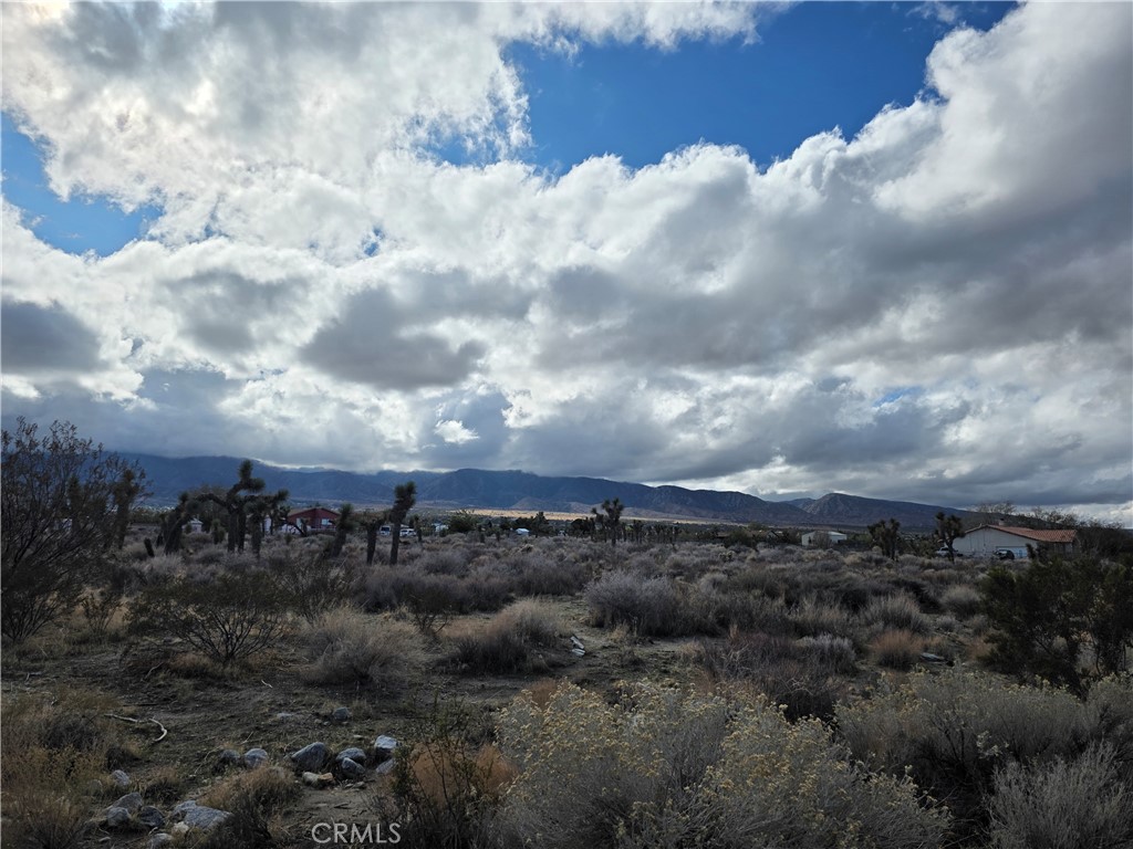 MLS #HD25262766 image #6