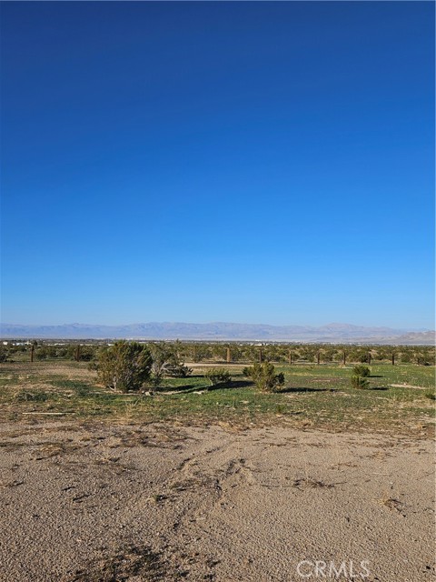 2352 S Jacks Ranch Drive, Ridgecrest CA: https://media.crmls.org/medias/87dc537f-0416-4d6d-bd69-1164429bd4fb.jpg