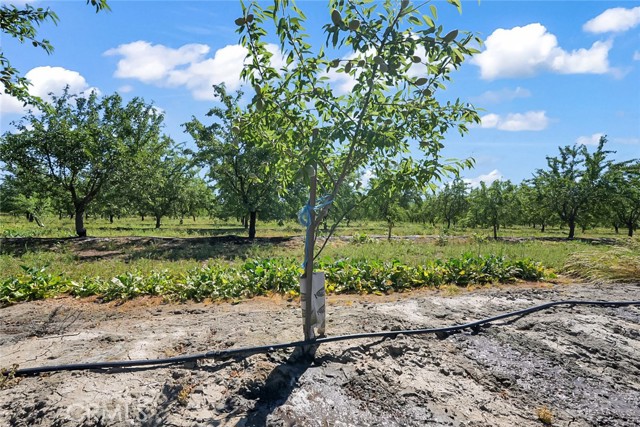 Details for 0 Buchanan Hollow Road, Le Grand, CA 95333