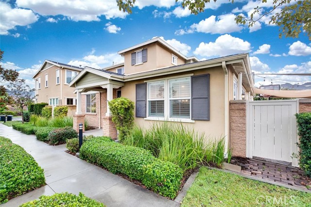 Front Image Thumbnail for CROC25276708