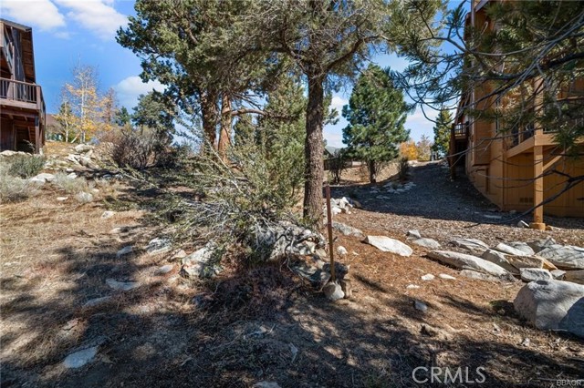 42565 Pegasus Way, Big Bear Lake, California 92315, ,Land,For Sale,42565 Pegasus Way,CREV24032569